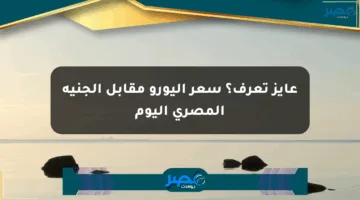 عايز تعرف؟ سعر اليورو مقابل الجنيه المصري اليوم